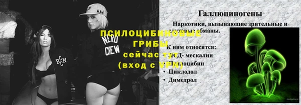 ПСИЛОЦИБИНОВЫЕ ГРИБЫ Алексеевка