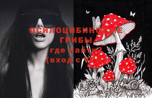 кристаллы Краснослободск