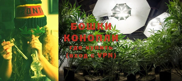 ПСИЛОЦИБИНОВЫЕ ГРИБЫ Алексеевка