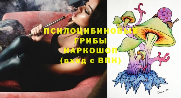 ПСИЛОЦИБИНОВЫЕ ГРИБЫ Алексеевка