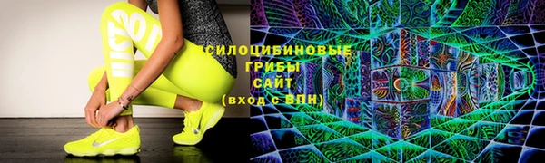 дурь Алзамай