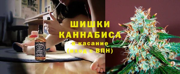 ПСИЛОЦИБИНОВЫЕ ГРИБЫ Алексеевка
